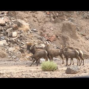 Meet your Posher, Kesa